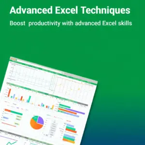 Advanced Excel Techniques